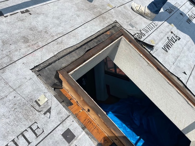 天窓の開口部分